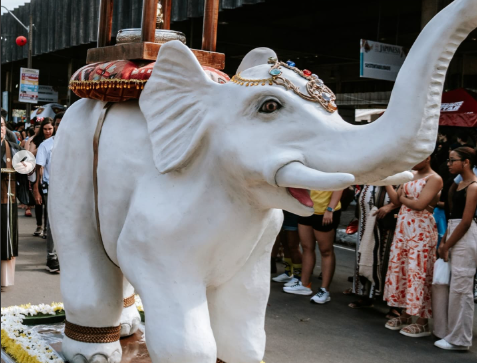 Cortejo do Elefante